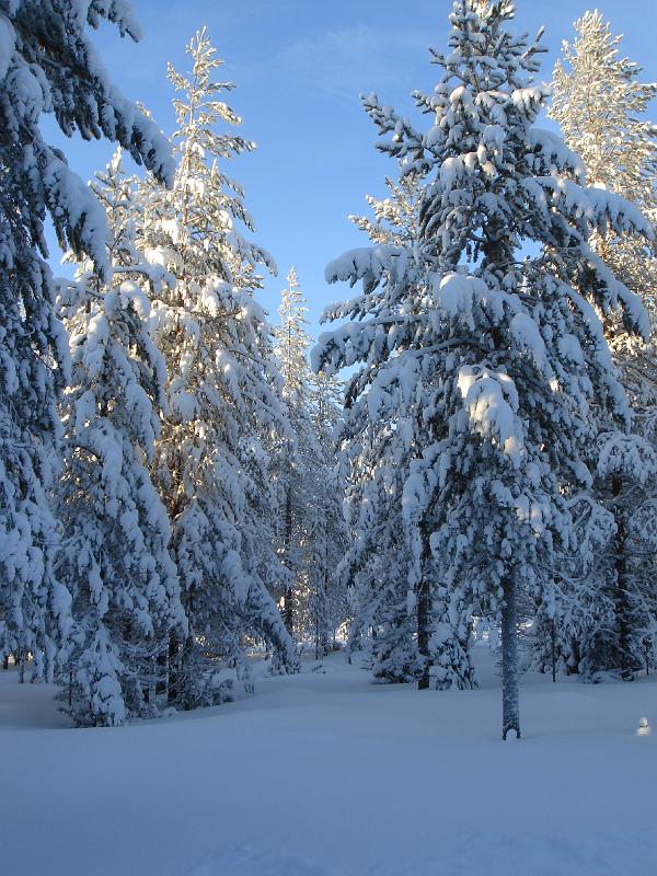 028 Talviaurinko.jpg